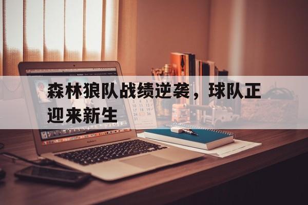 森林狼队战绩逆袭,球队正迎来新生的简单介绍